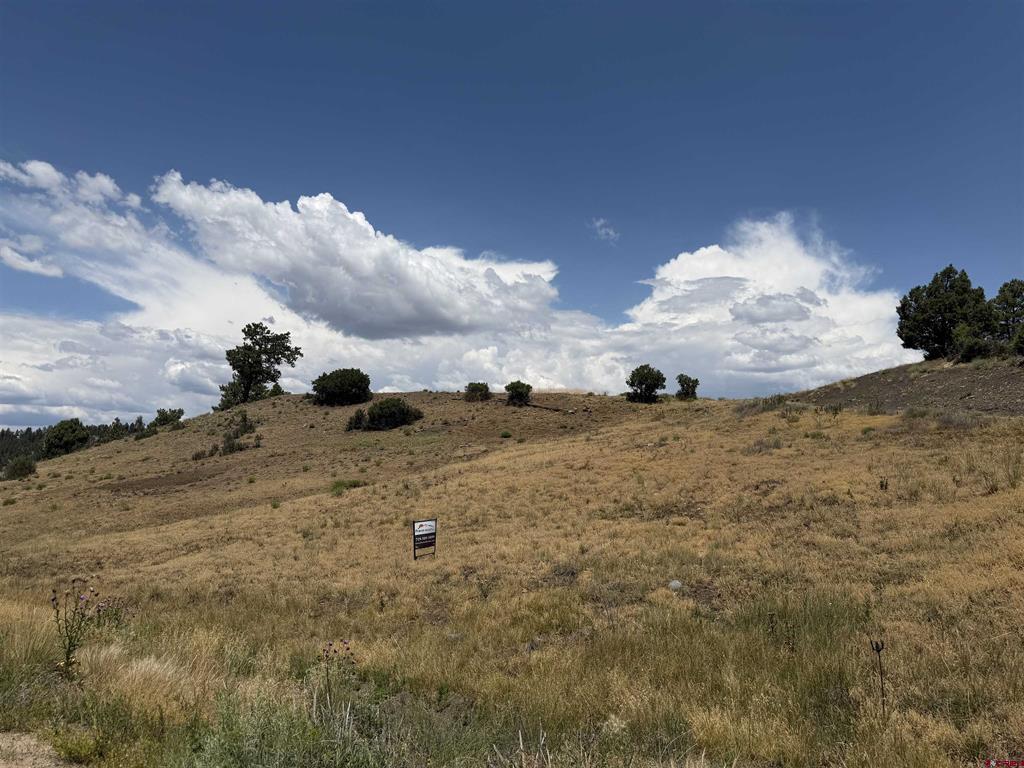 893 Loma Linda Drive Pagosa Springs CO 81147