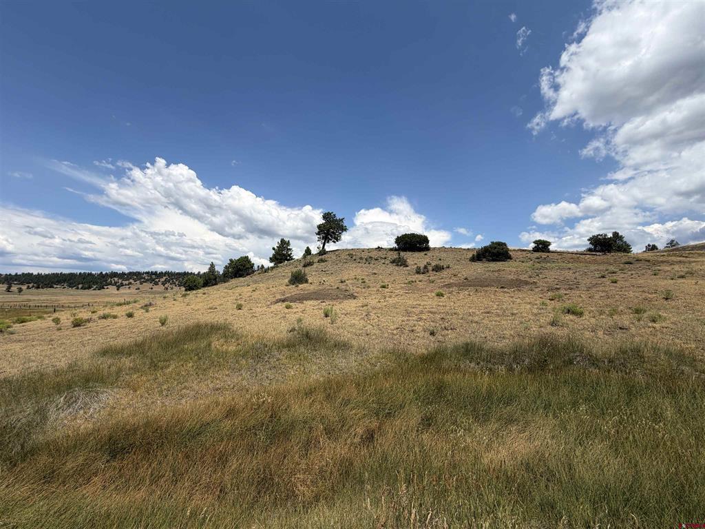 893 Loma Linda Drive Pagosa Springs CO 81147