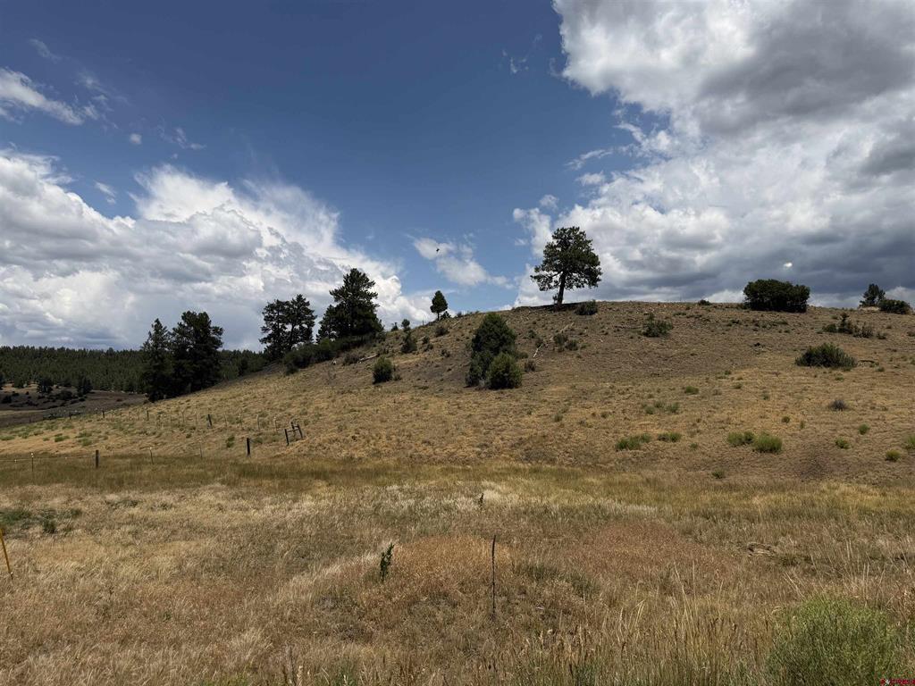 893 Loma Linda Drive Pagosa Springs CO 81147