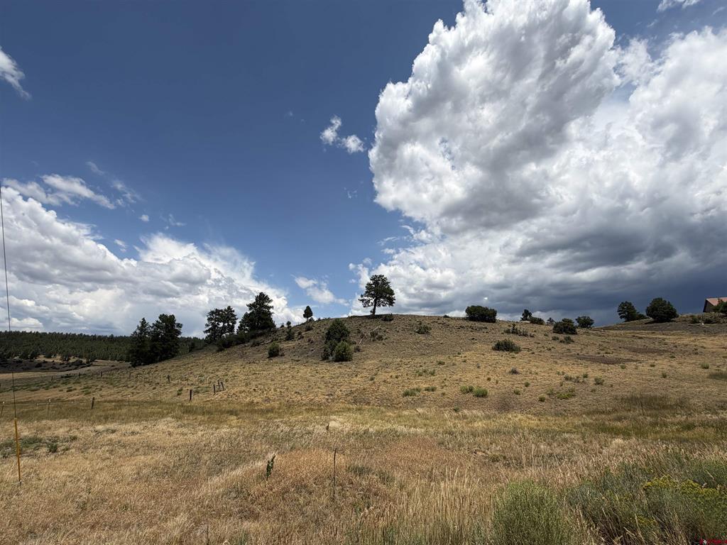 893 Loma Linda Drive Pagosa Springs CO 81147
