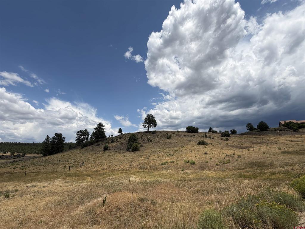 893 Loma Linda Drive Pagosa Springs CO 81147