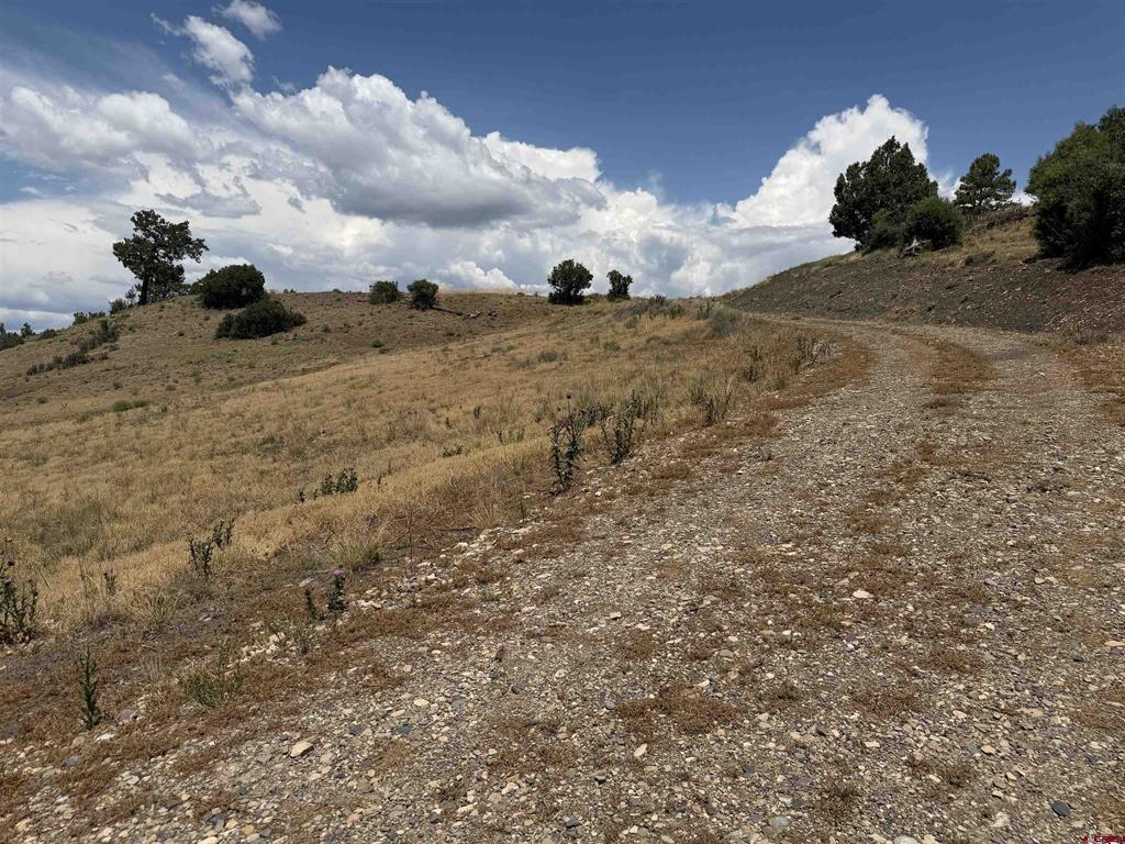 893 Loma Linda Drive Pagosa Springs CO 81147