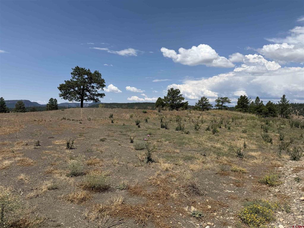 893 Loma Linda Drive Pagosa Springs CO 81147
