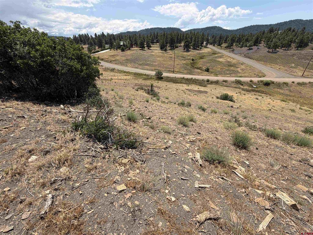 893 Loma Linda Drive Pagosa Springs CO 81147