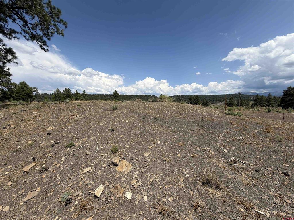 893 Loma Linda Drive Pagosa Springs CO 81147