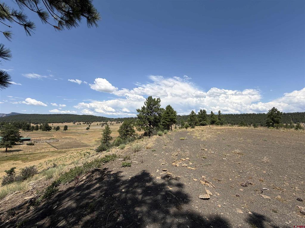 893 Loma Linda Drive Pagosa Springs CO 81147