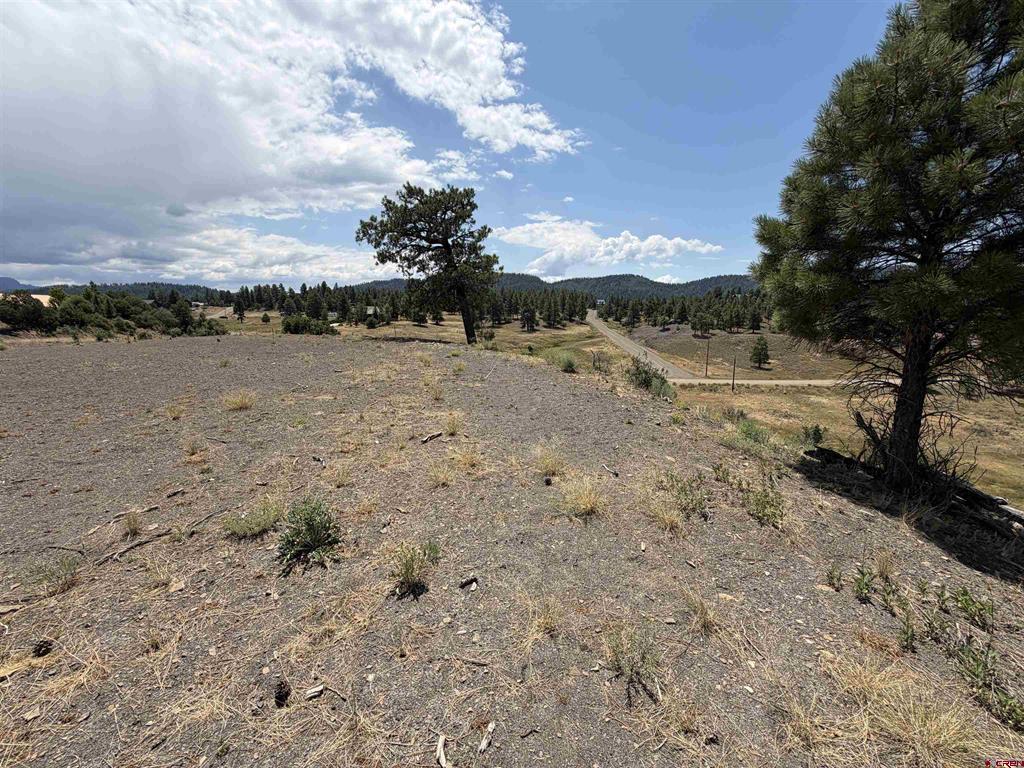 893 Loma Linda Drive Pagosa Springs CO 81147
