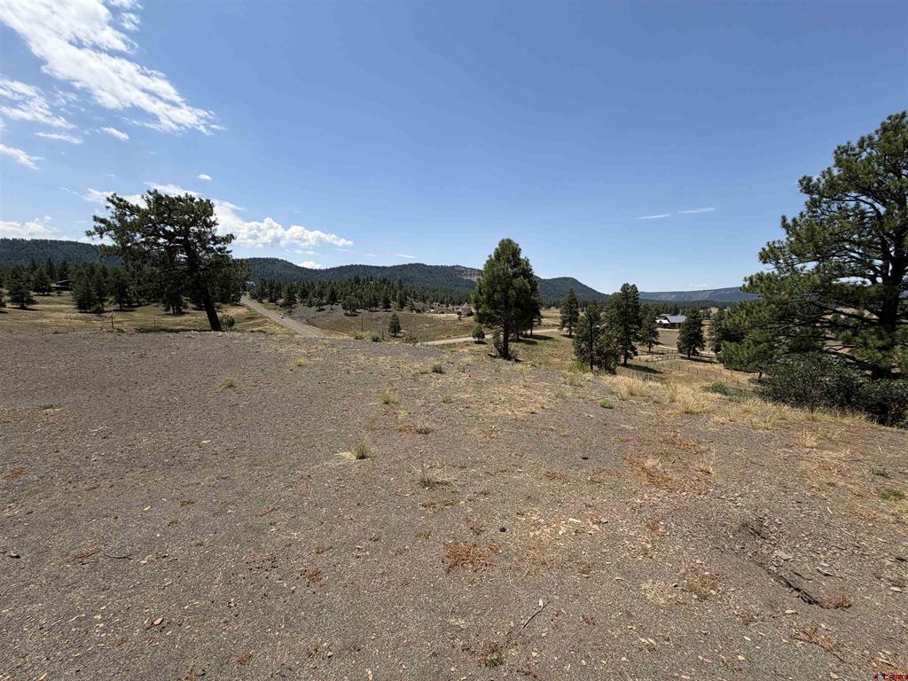 893 Loma Linda Drive Pagosa Springs CO 81147
