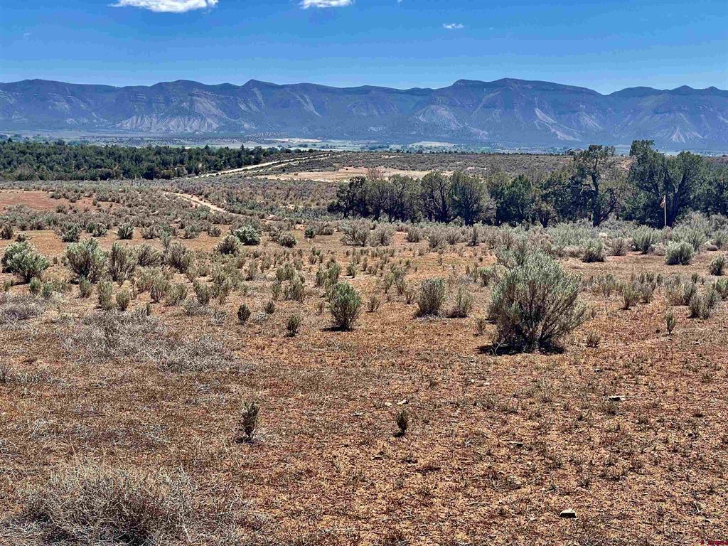 Tract 3 Road K.3 Cortez CO 81321