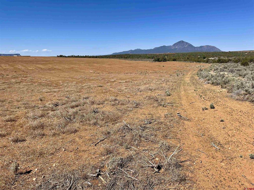 Tract 3 Road K.3 Cortez CO 81321