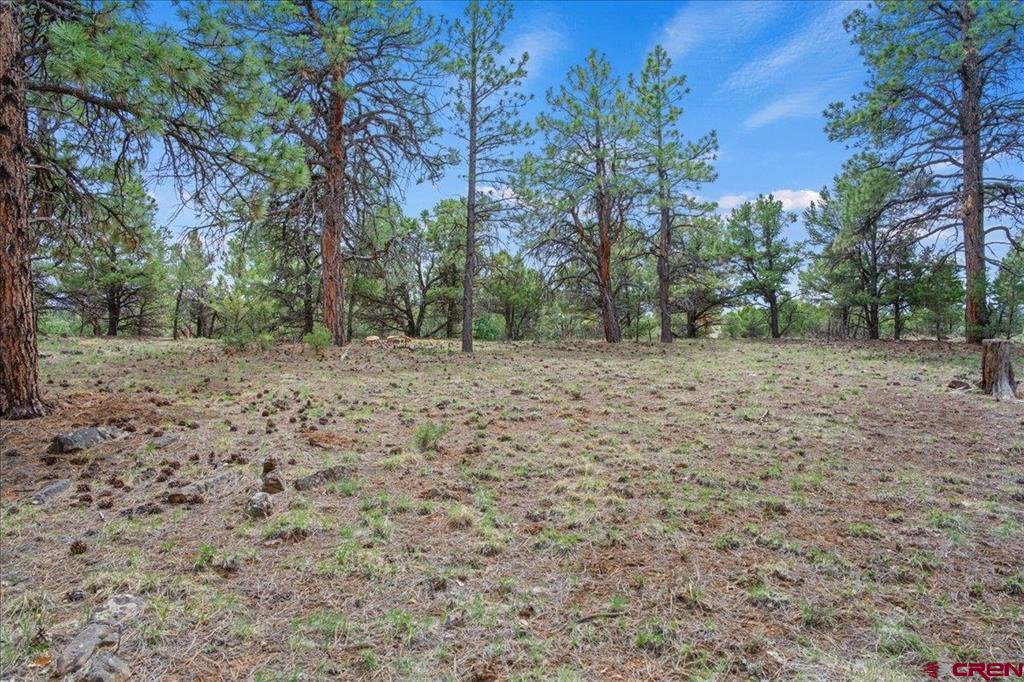681 Marmot Drive Ridgway CO 81432