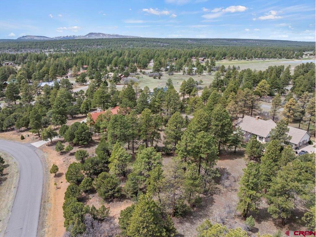 681 Marmot Drive Ridgway CO 81432