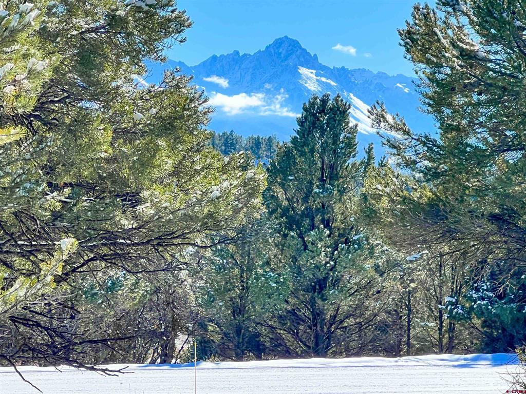 681 Marmot Drive Ridgway CO 81432