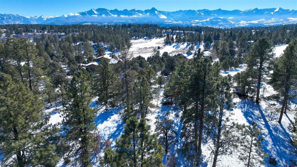 681 Marmot Drive Ridgway CO 81432