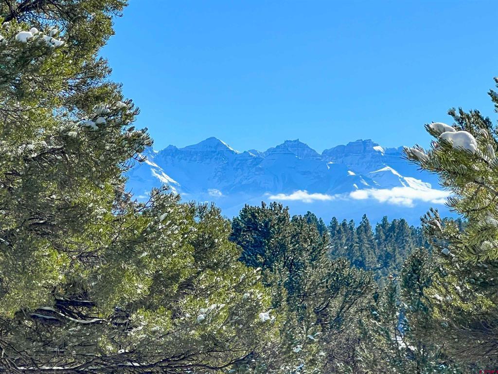 681 Marmot Drive Ridgway CO 81432