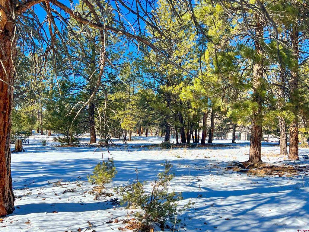 681 Marmot Drive Ridgway CO 81432