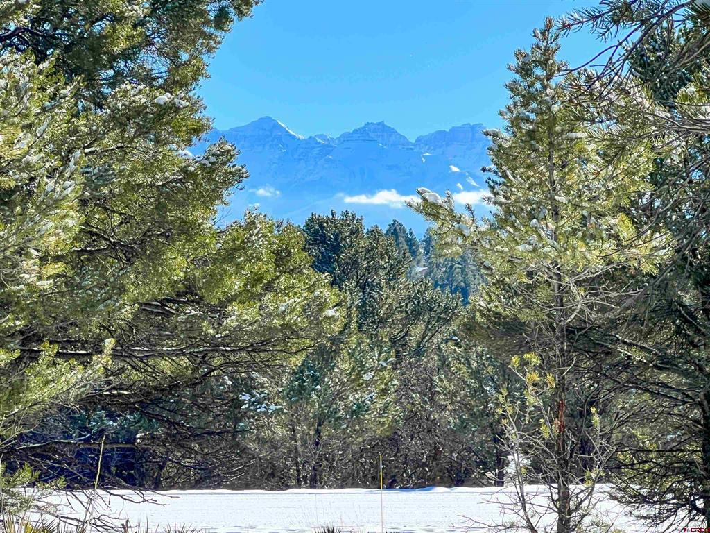 681 Marmot Drive Ridgway CO 81432