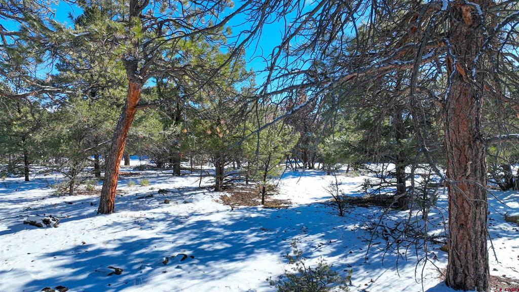 681 Marmot Drive Ridgway CO 81432