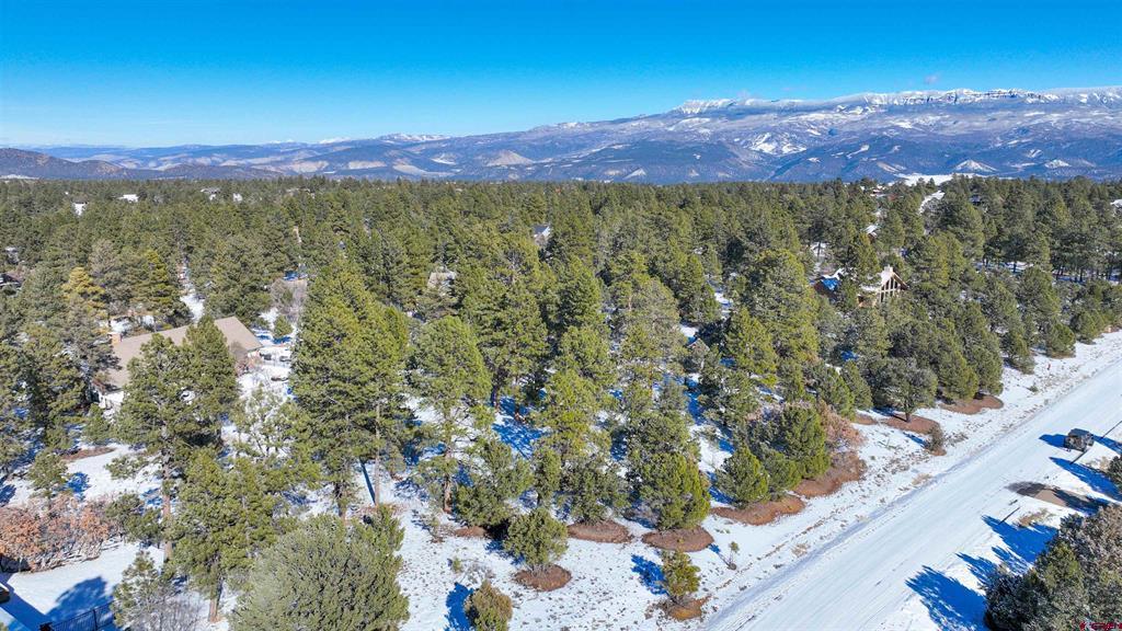 681 Marmot Drive Ridgway CO 81432