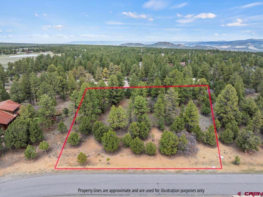 681 Marmot Drive Ridgway CO 81432