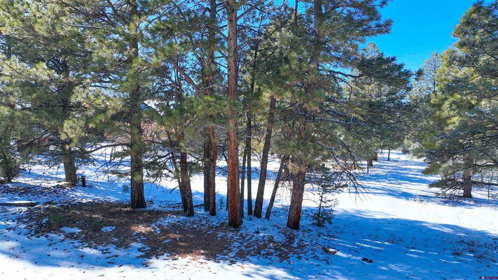 681 Marmot Drive Ridgway CO 81432