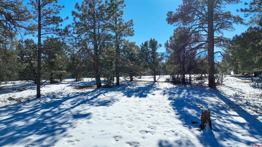 681 Marmot Drive Ridgway CO 81432