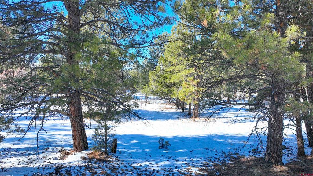 681 Marmot Drive Ridgway CO 81432
