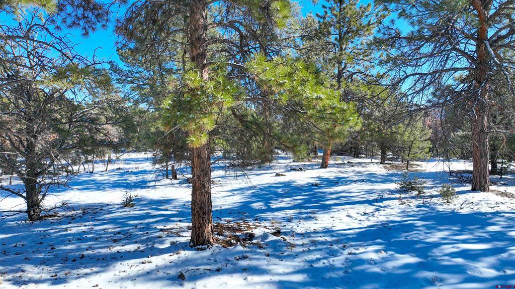 681 Marmot Drive Ridgway CO 81432