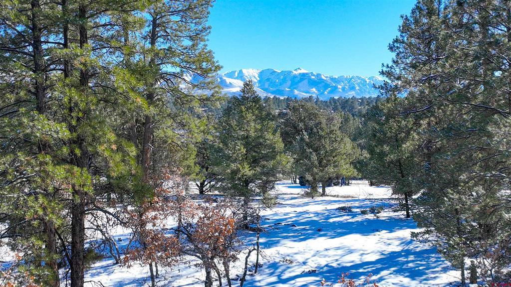 681 Marmot Drive Ridgway CO 81432