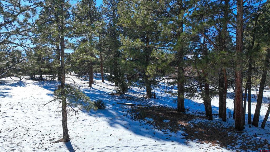 681 Marmot Drive Ridgway CO 81432