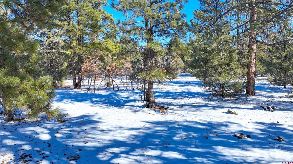 681 Marmot Drive Ridgway CO 81432