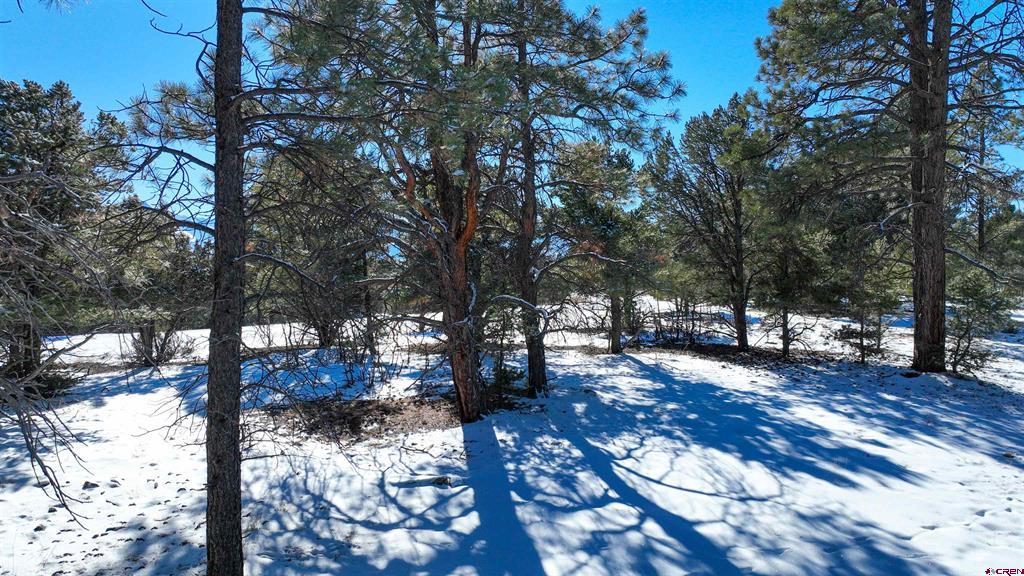 681 Marmot Drive Ridgway CO 81432