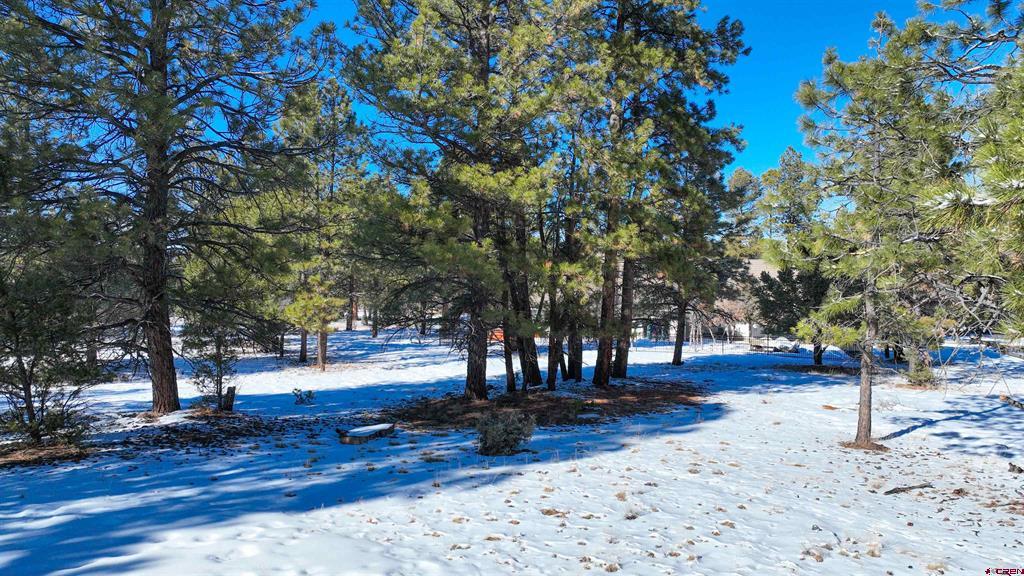 681 Marmot Drive Ridgway CO 81432
