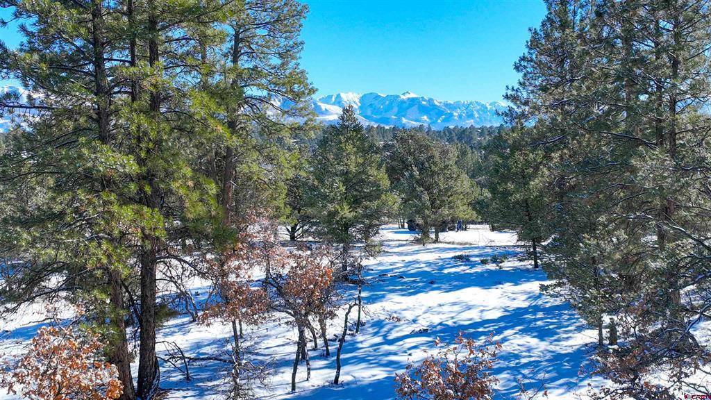 681 Marmot Drive Ridgway CO 81432