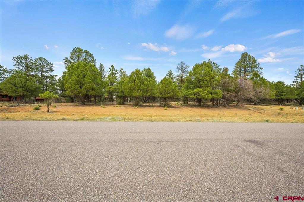 681 Marmot Drive Ridgway CO 81432