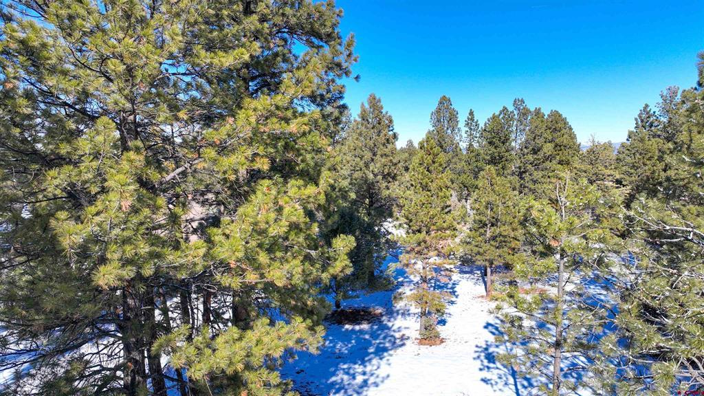681 Marmot Drive Ridgway CO 81432