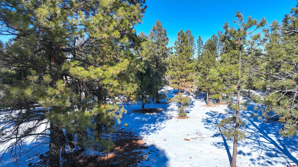 681 Marmot Drive Ridgway CO 81432