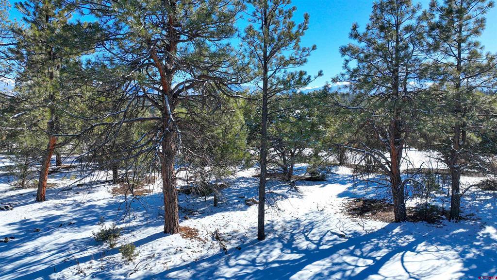 681 Marmot Drive Ridgway CO 81432
