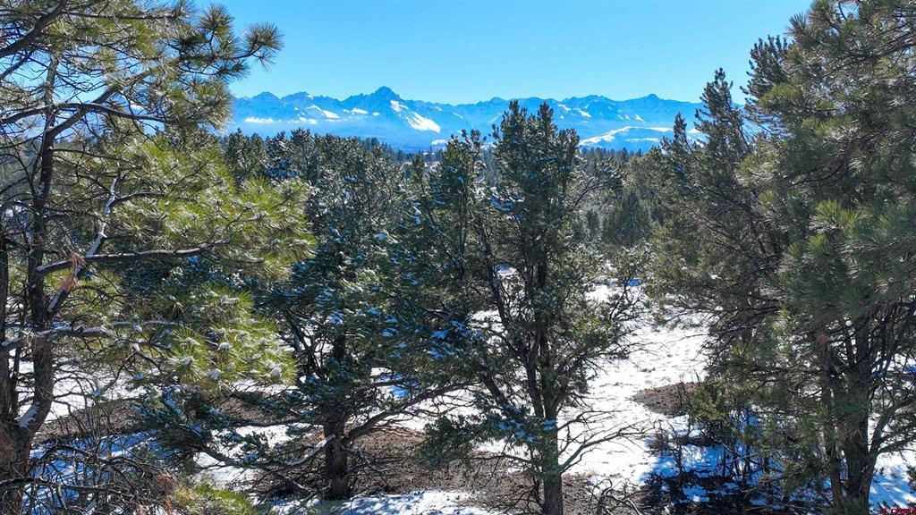 681 Marmot Drive Ridgway CO 81432