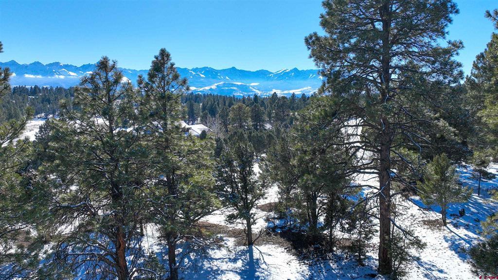 681 Marmot Drive Ridgway CO 81432
