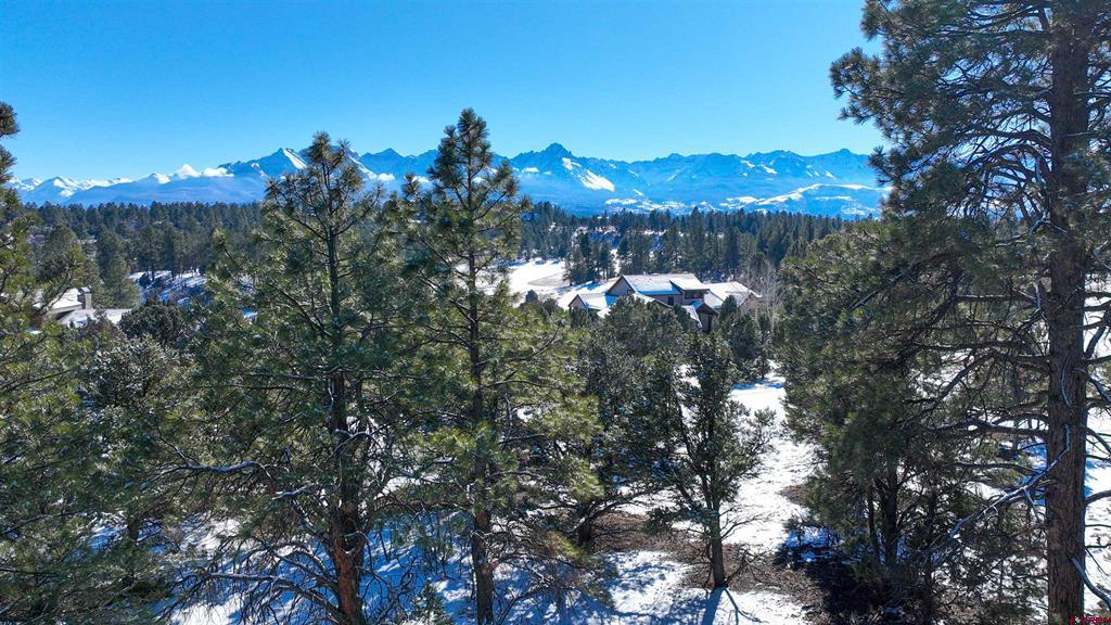 681 Marmot Drive Ridgway CO 81432