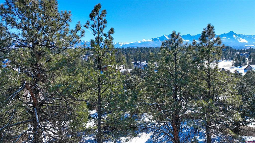 681 Marmot Drive Ridgway CO 81432