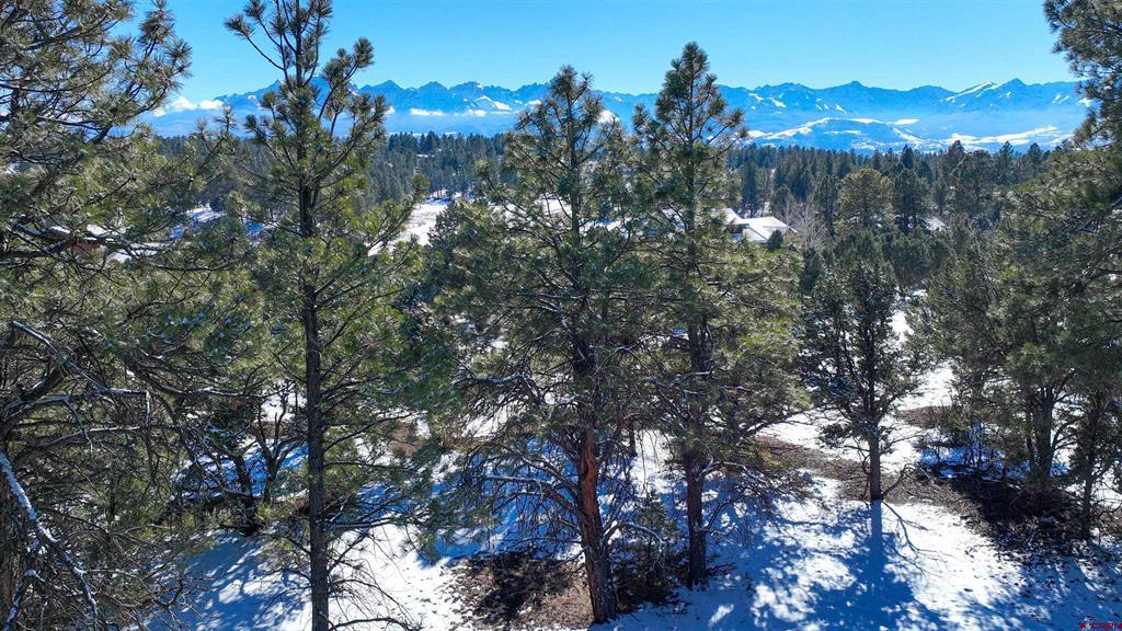 681 Marmot Drive Ridgway CO 81432