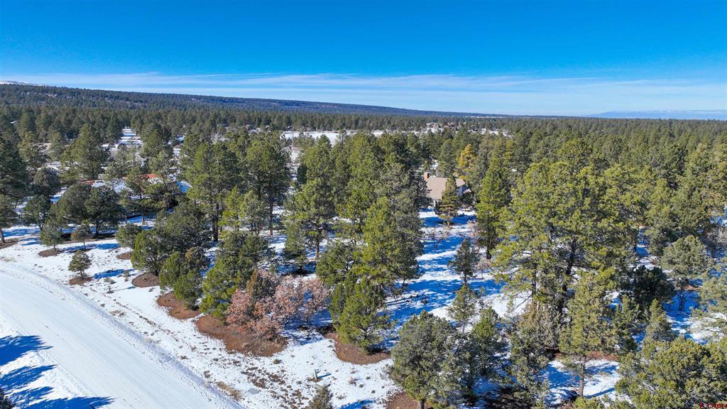 681 Marmot Drive Ridgway CO 81432