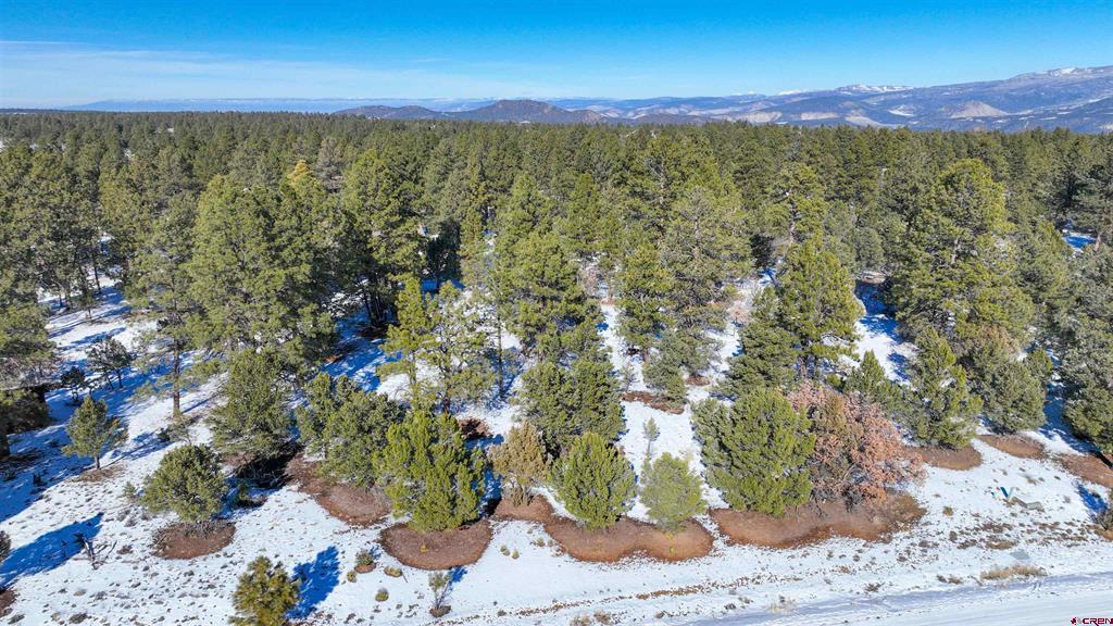 681 Marmot Drive Ridgway CO 81432