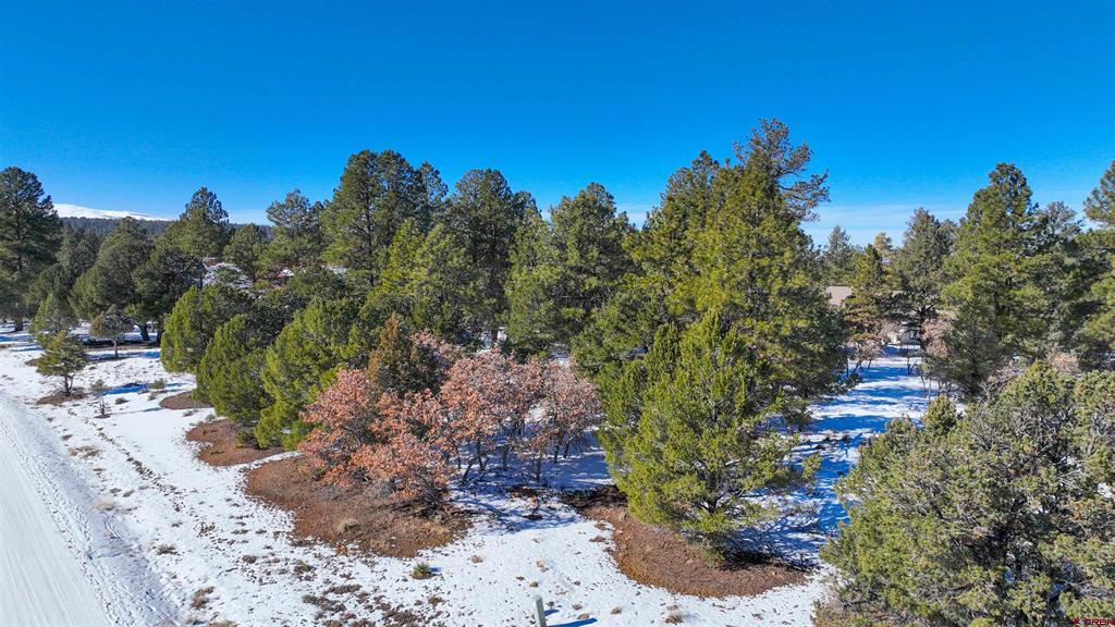 681 Marmot Drive Ridgway CO 81432