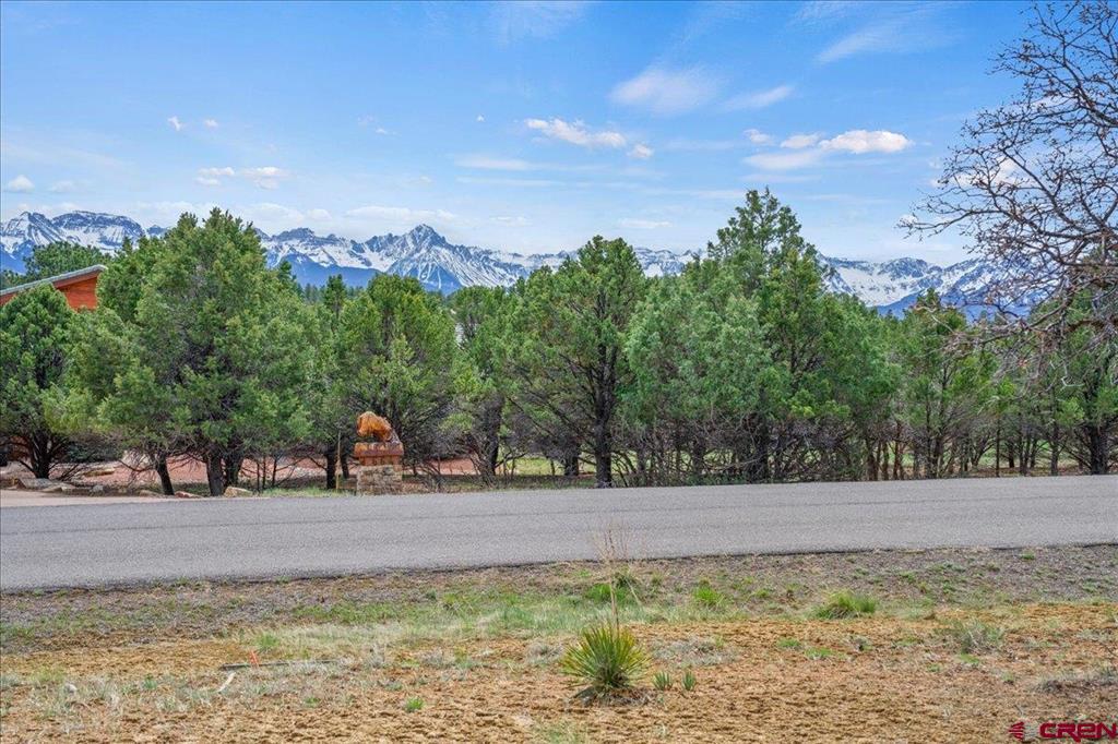 681 Marmot Drive Ridgway CO 81432