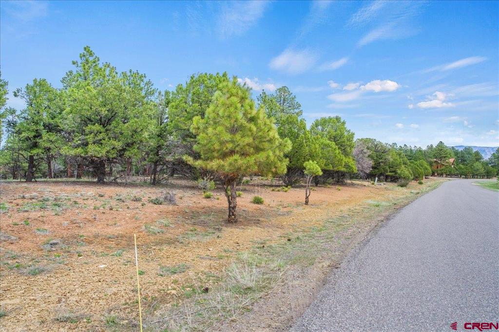 681 Marmot Drive Ridgway CO 81432