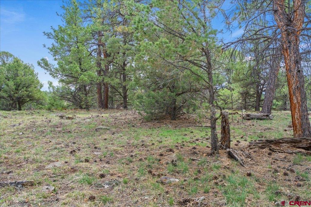 681 Marmot Drive Ridgway CO 81432