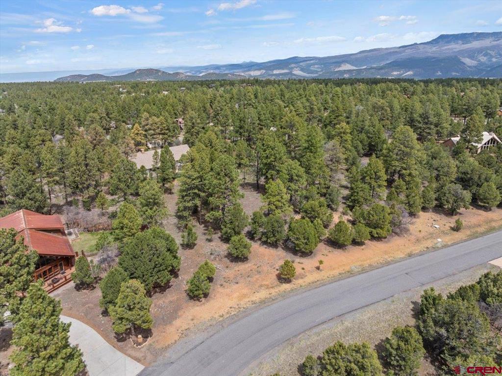 681 Marmot Drive Ridgway CO 81432